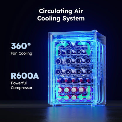 45 Bottles Wine Cooler Refrigerator,Built-In Wine Fridge with Stainless Steel Glass Door, for Home Bar, Kitchen, or Office